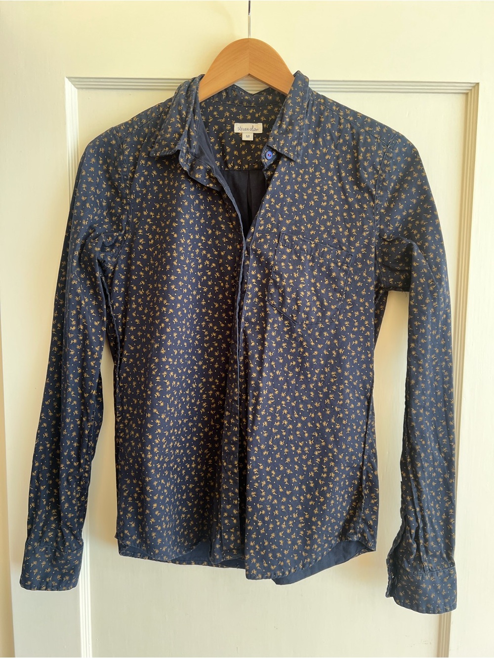 Steven Alan Button Down Shirt